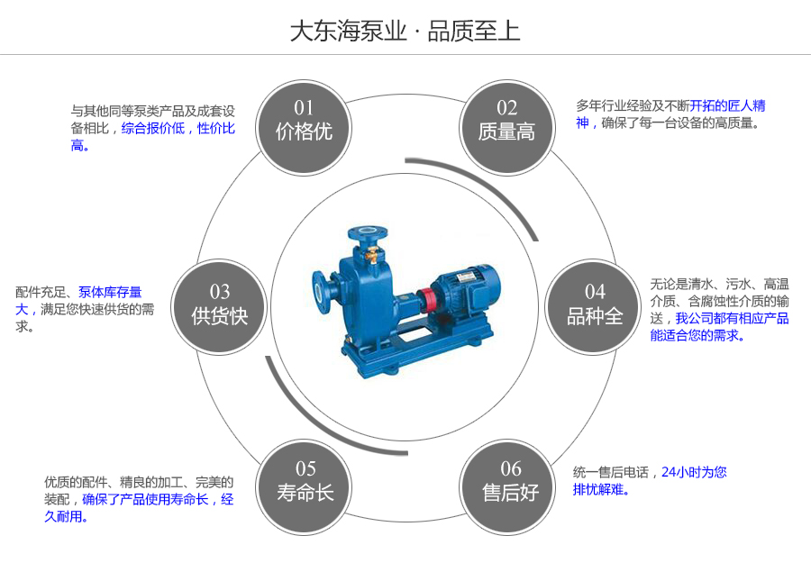 大東海泵業(yè)自吸式無堵塞排污泵質量保證圖