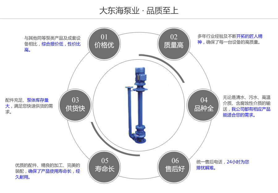 大東海泵業(yè)液下式排污泵質(zhì)量保證圖